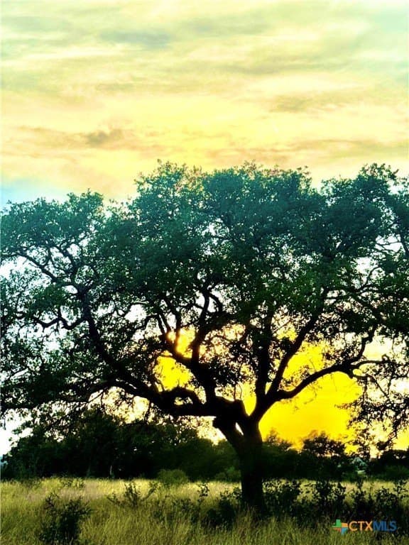 4.13 acres in Gillespie County - photo 5