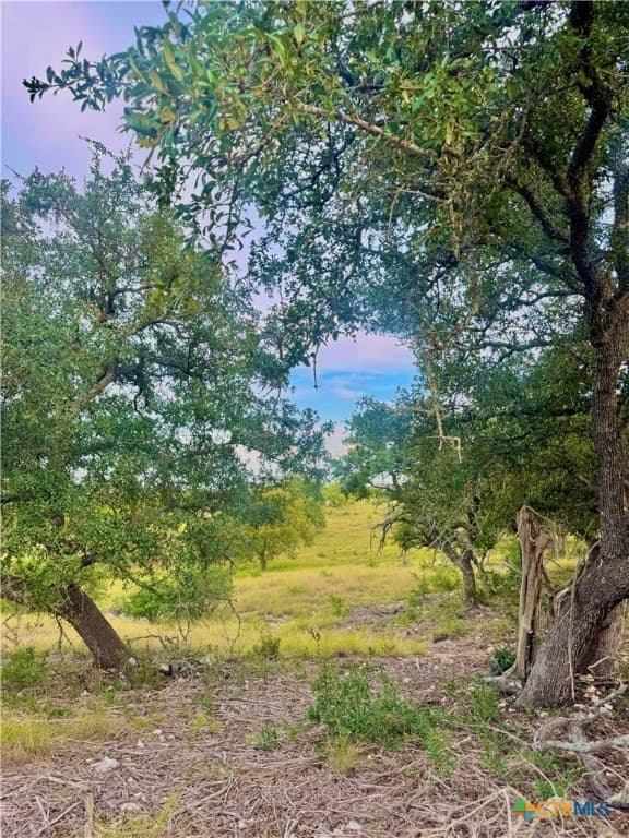 4.13 acres in Gillespie County - photo 10