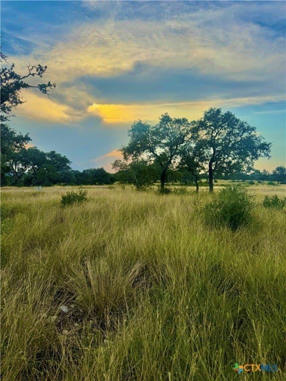 4.13 acres in Gillespie County - photo 4