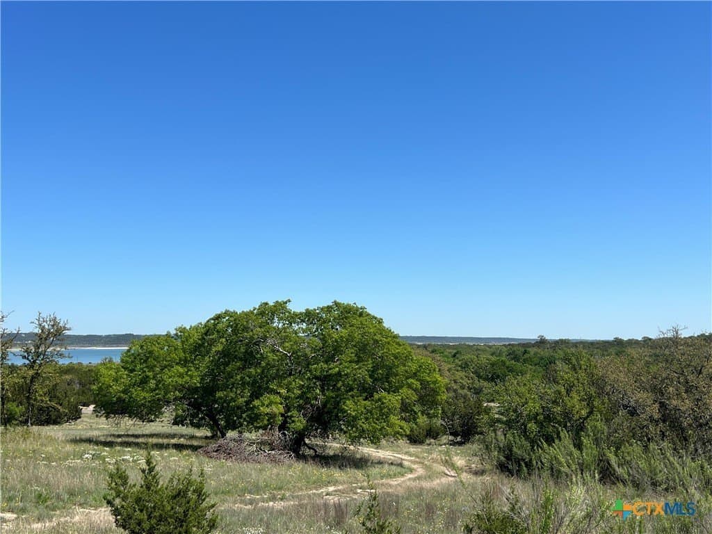 2 acres in Bell County - photo 4