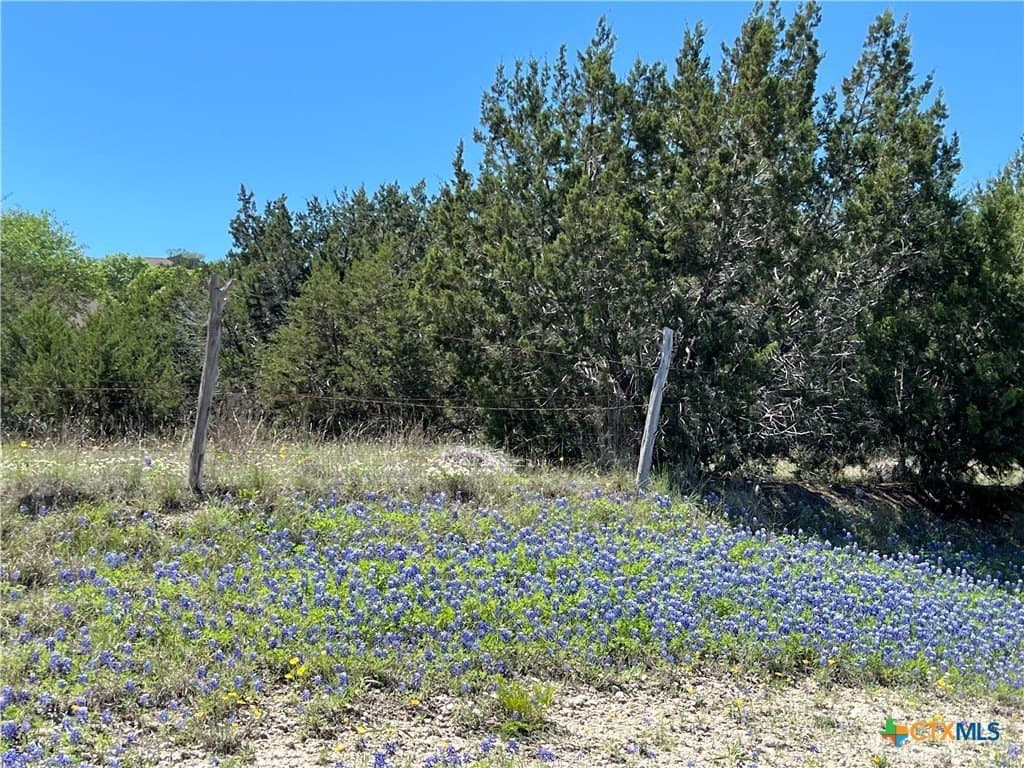 2 acres in Bell County - photo 7