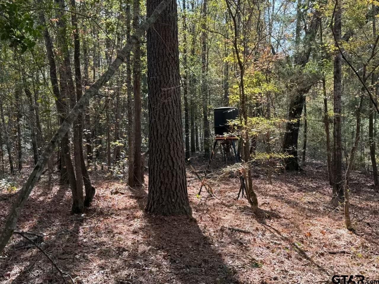 26.9 acres in Smith County - photo 7