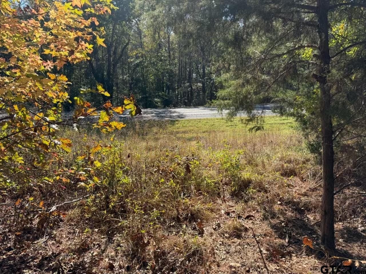 26.9 acres in Smith County - photo 11