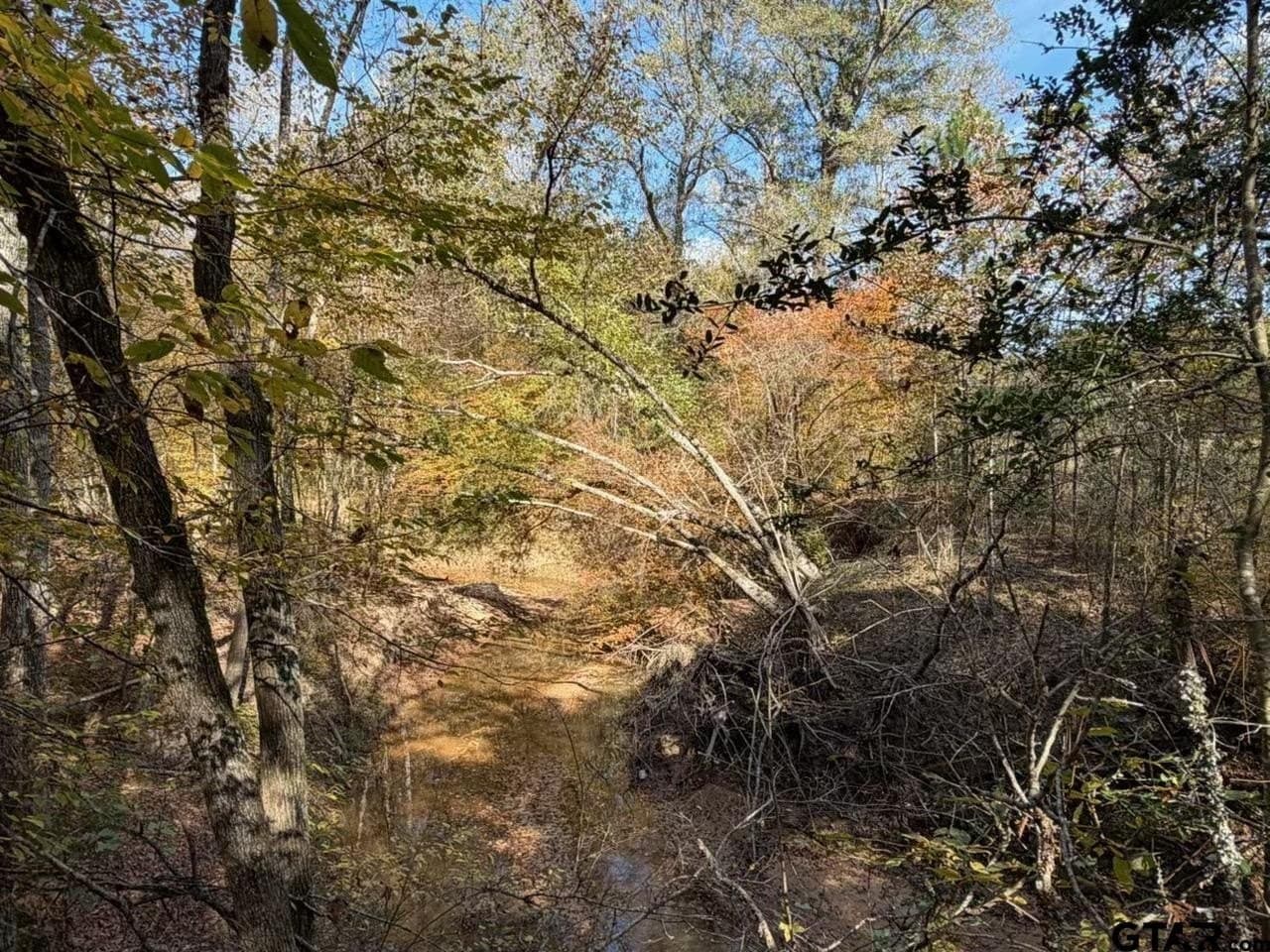 26.9 acres in Smith County - photo 3