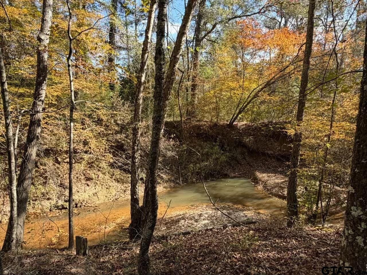 23791 Hwy 64E