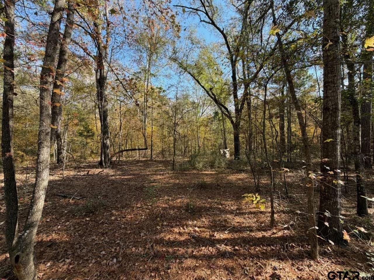 26.9 acres in Smith County - photo 8