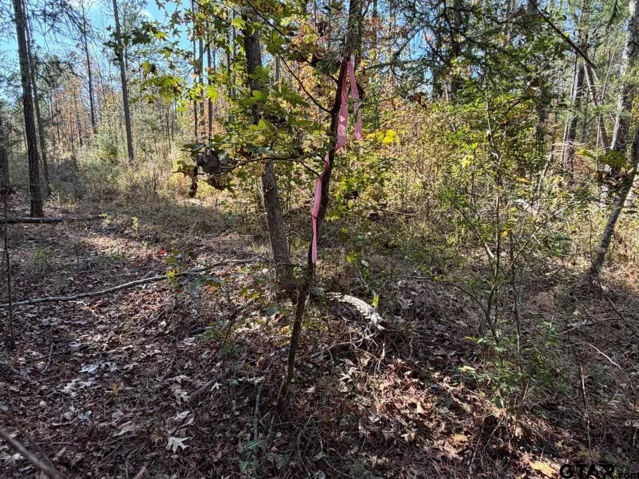 26.9 acres in Smith County - photo 9