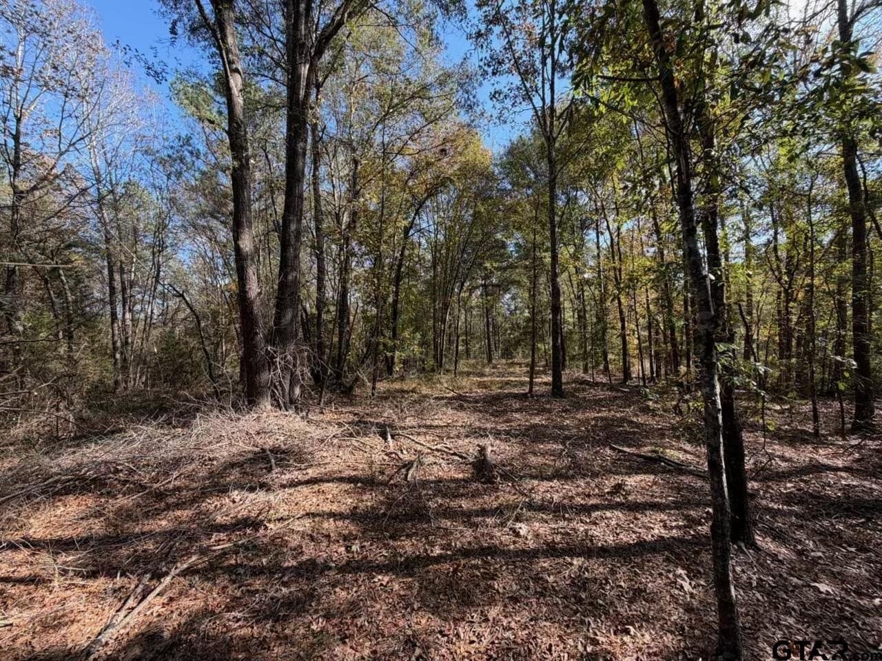 26.9 acres in Smith County - photo 10