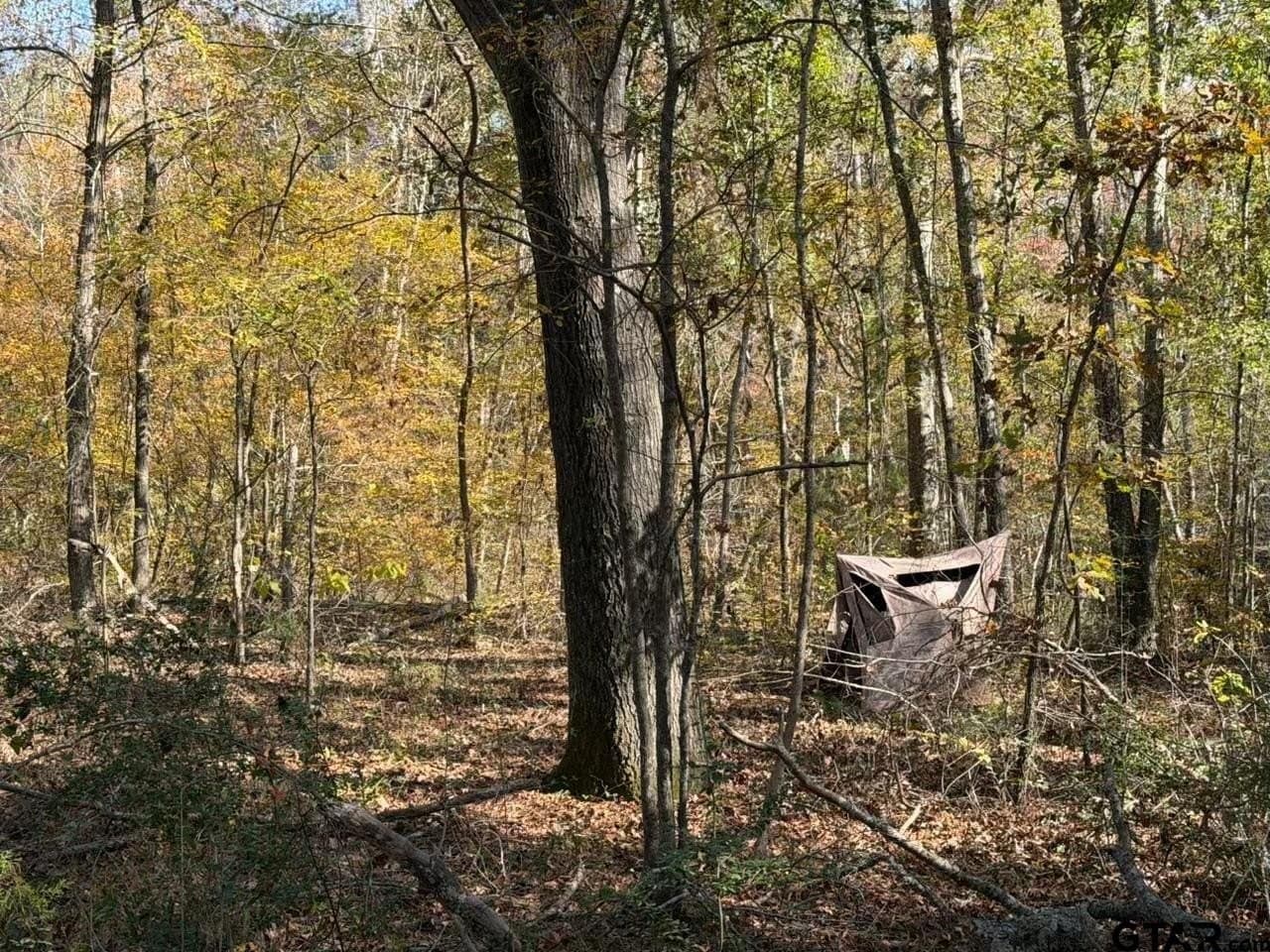 26.9 acres in Smith County - photo 5