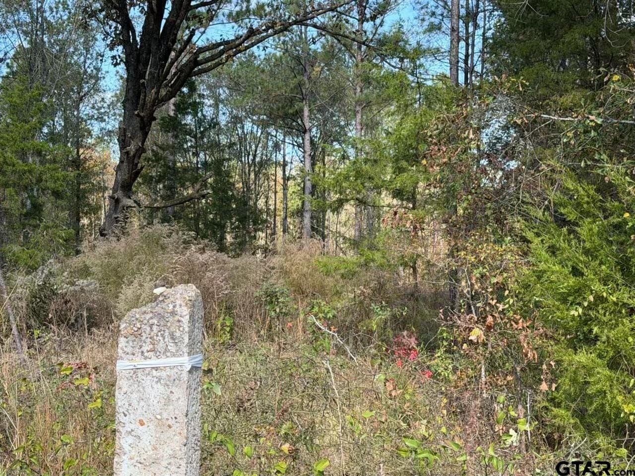 26.9 acres in Smith County - photo 13