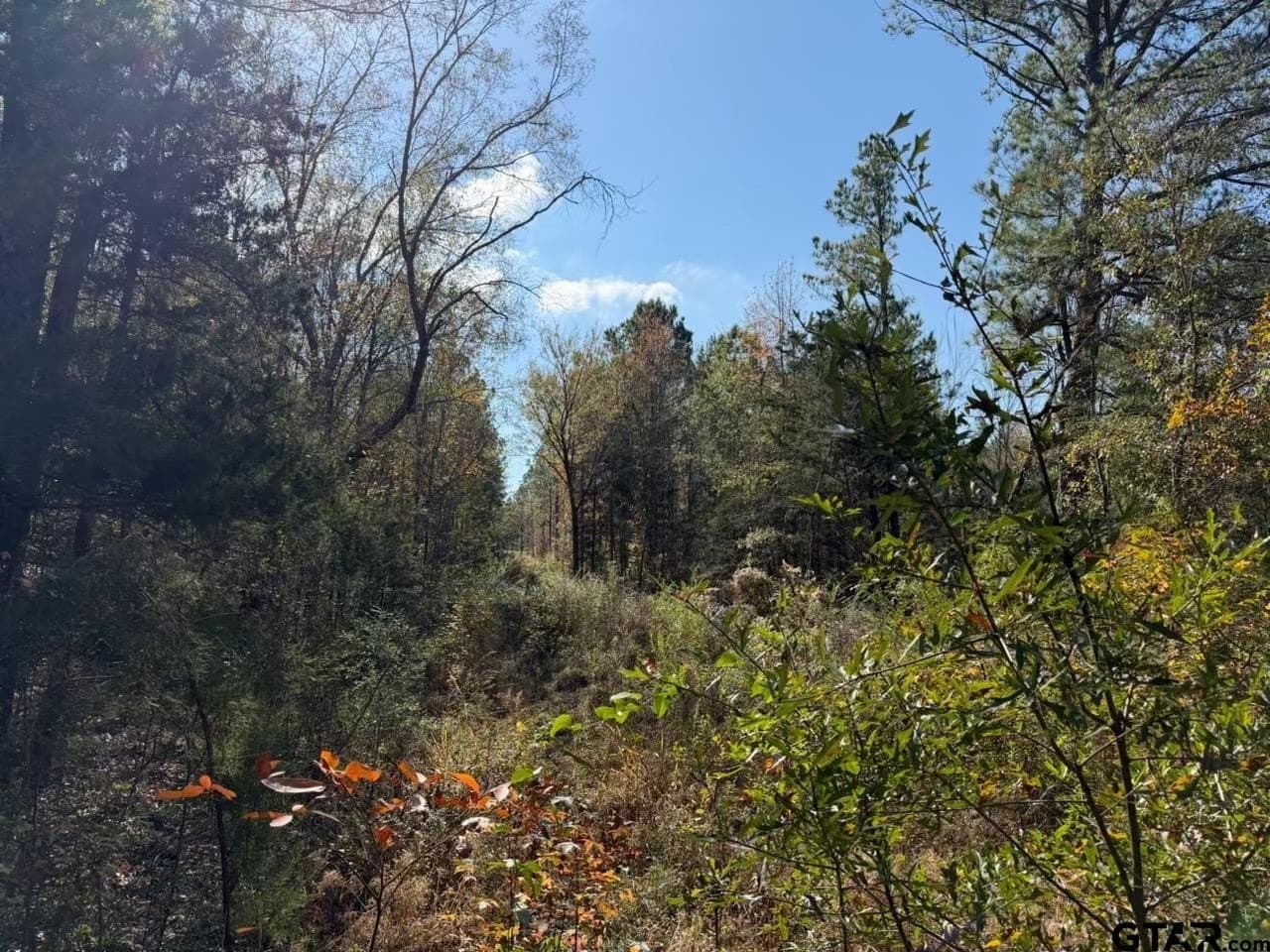 26.9 acres in Smith County - photo 6