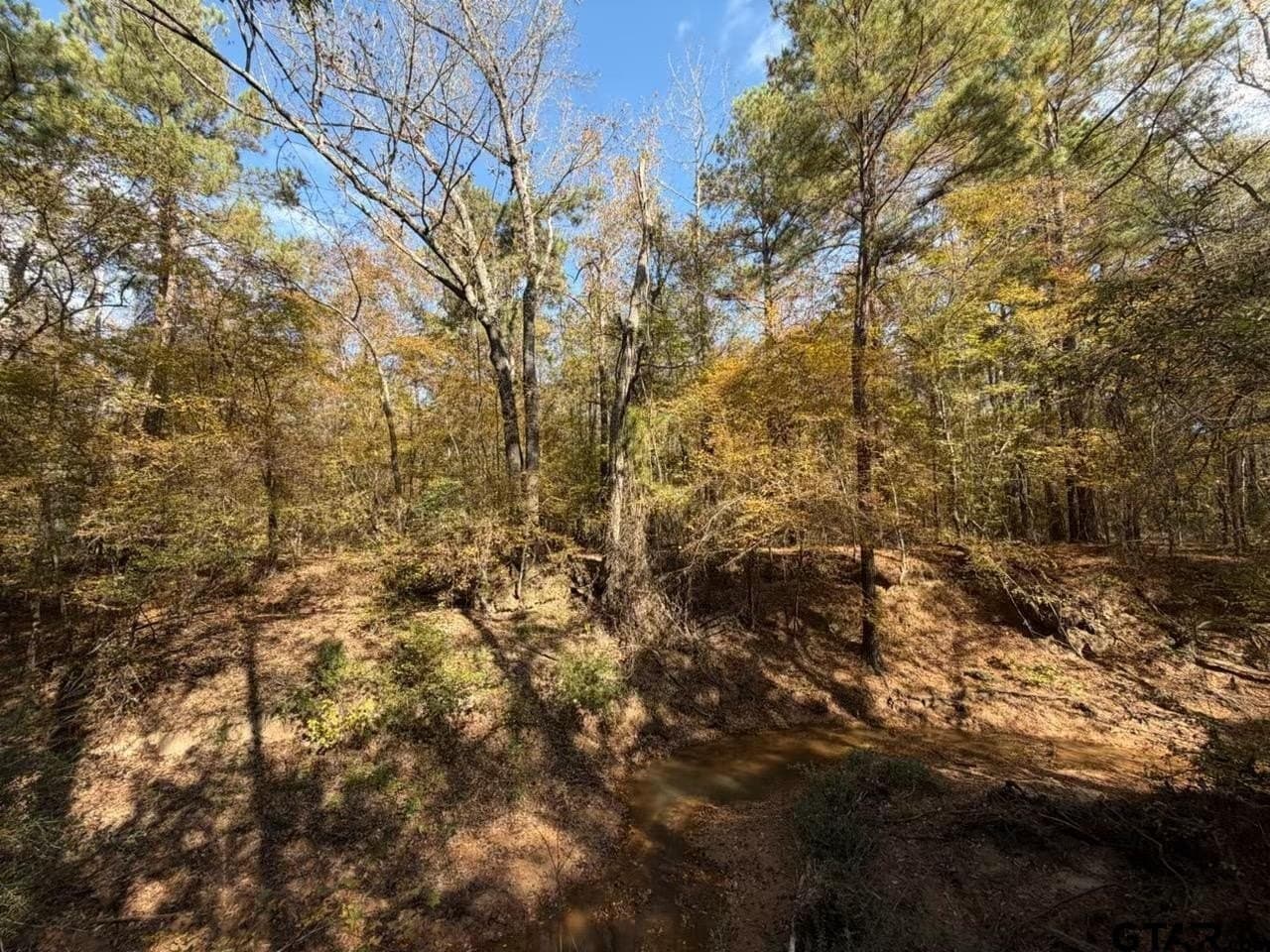 26.9 acres in Smith County - photo 4