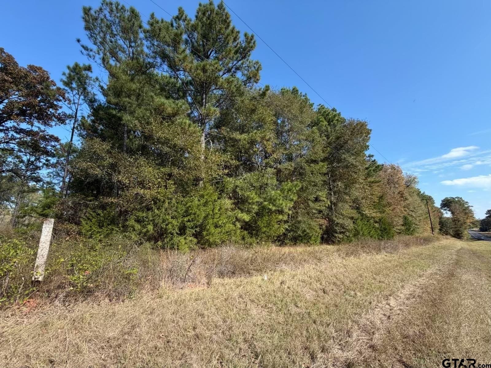 26.9 acres in Smith County - photo 12