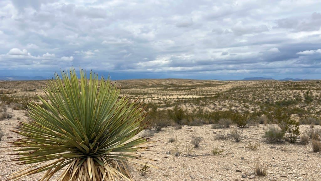 160 acres in Brewster County - photo 3