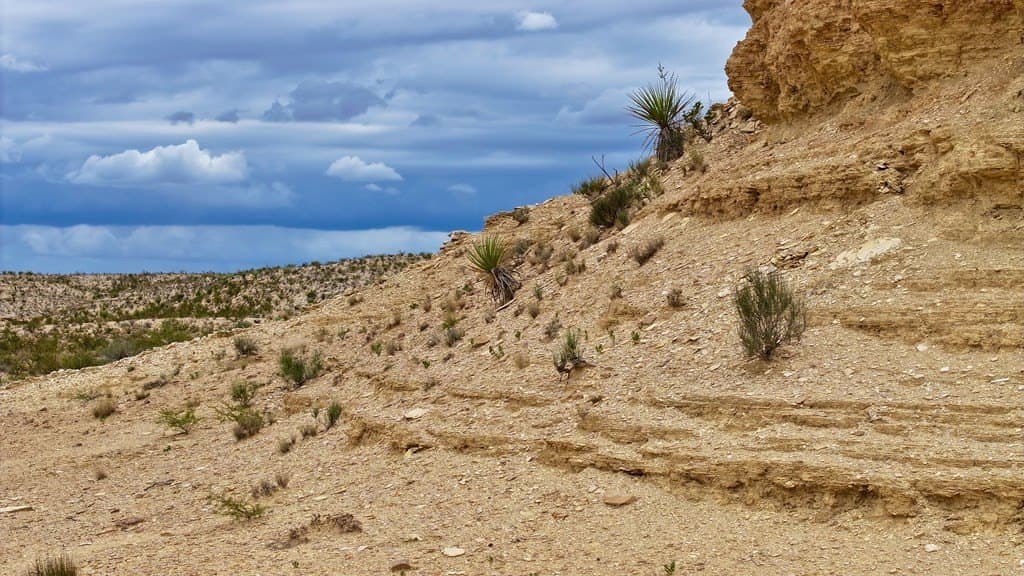 160 acres in Brewster County - photo 21