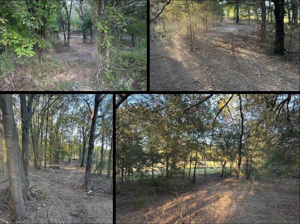 4 acres in Lamar County - photo 2