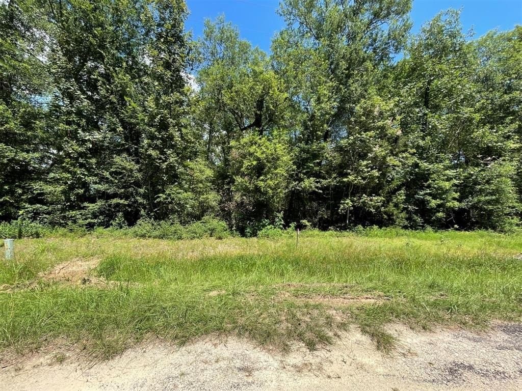0.25 acres in Polk County - photo 30