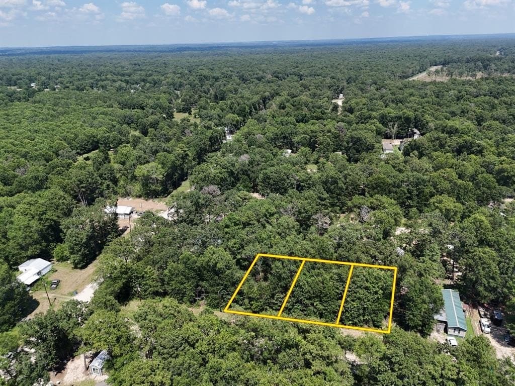 0.25 acres in Polk County - photo 4