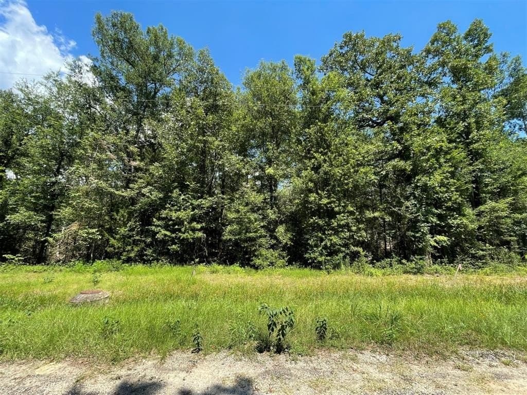 0.25 acres in Polk County - photo 34
