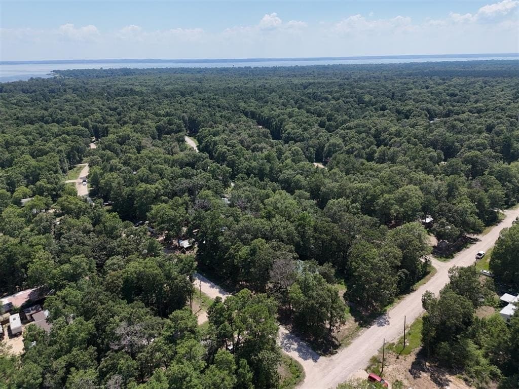 0.25 acres in Polk County - photo 17