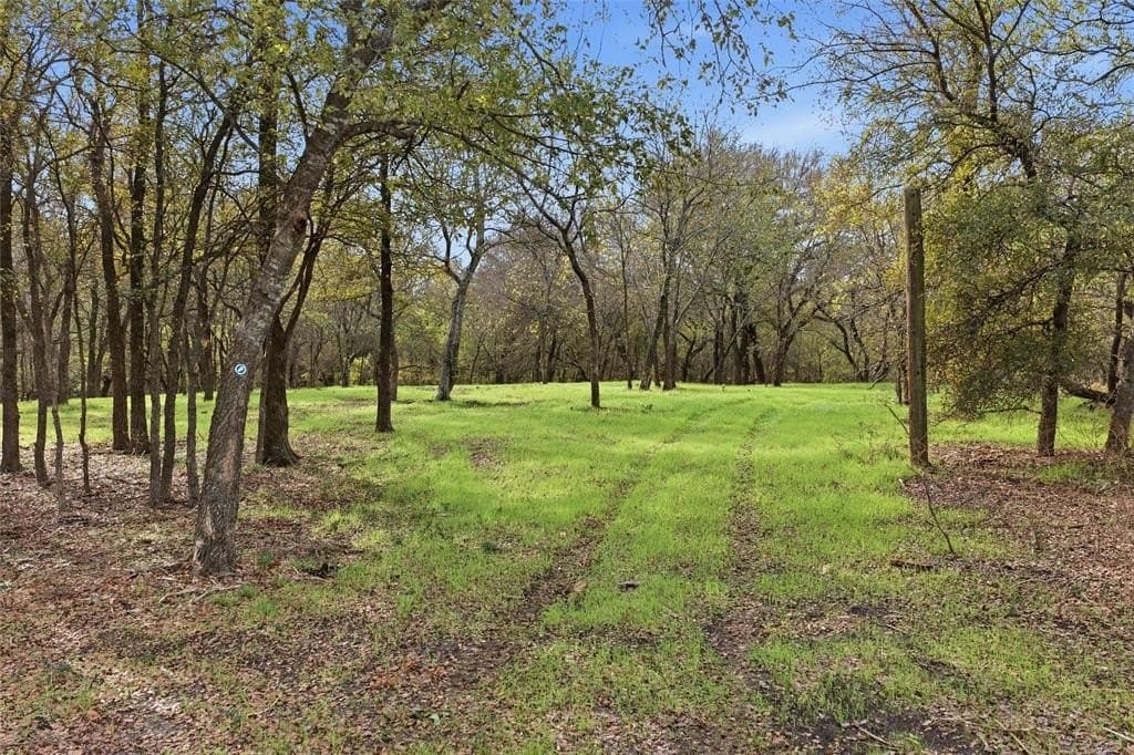 16.52 acres in Hill County - photo 3