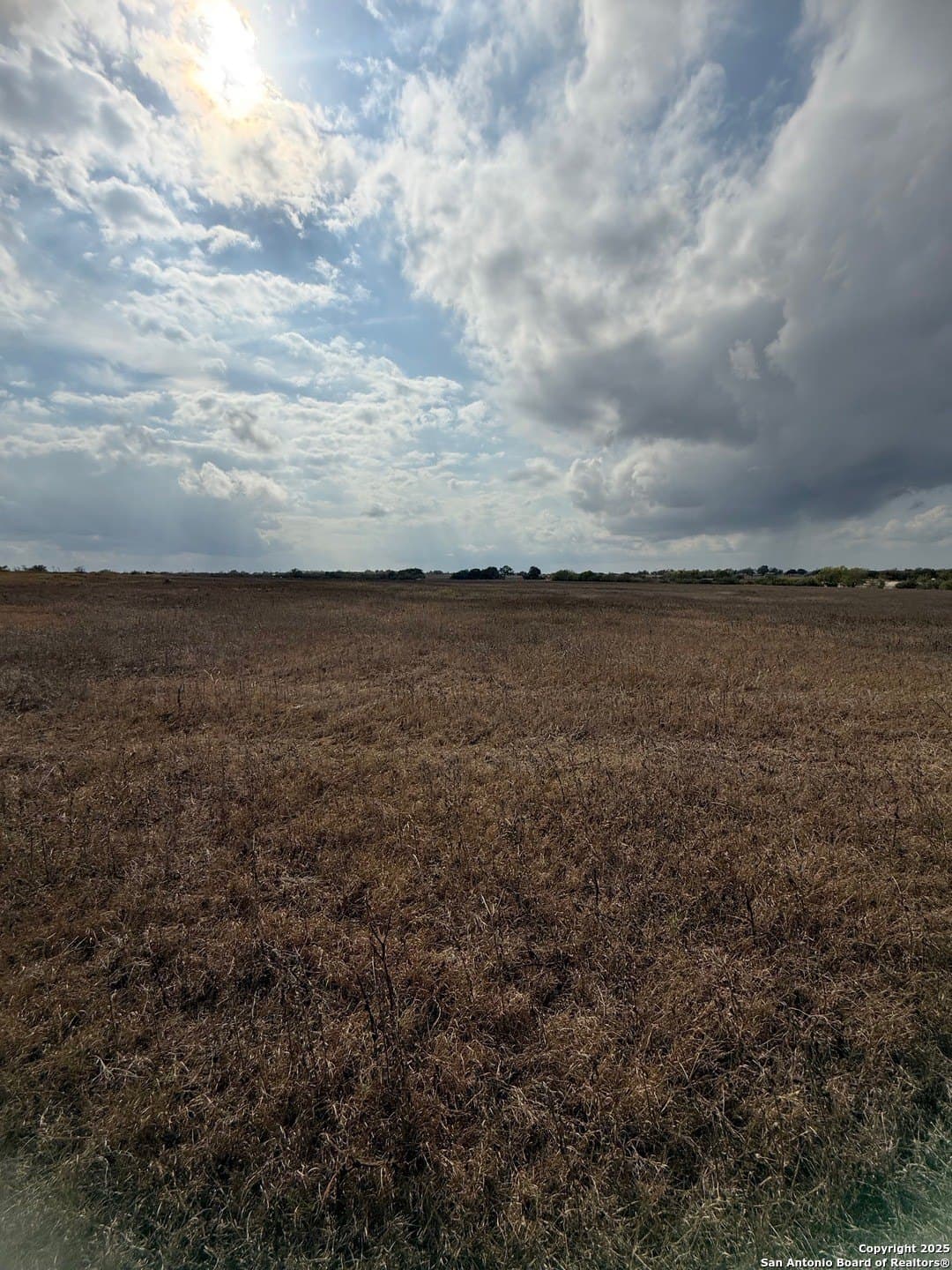 189 acres in Karnes County - photo 35