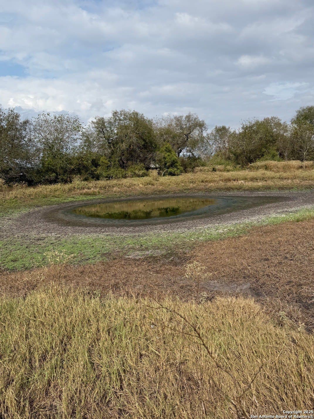189 acres in Karnes County - photo 14