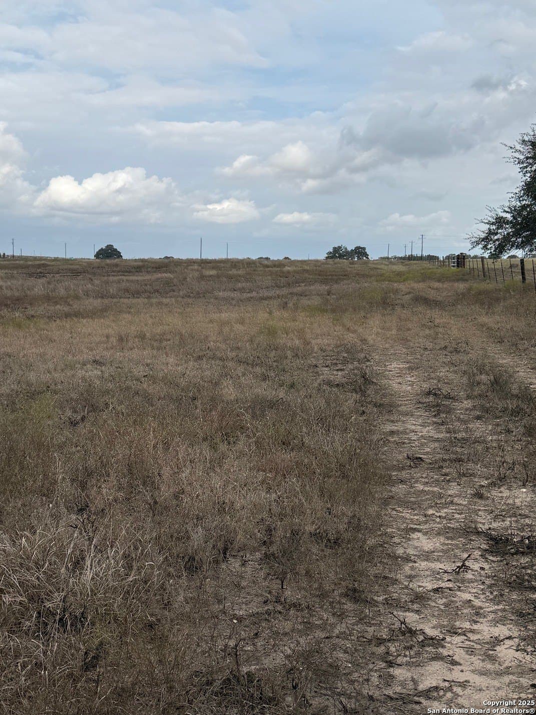 189 acres in Karnes County - photo 4