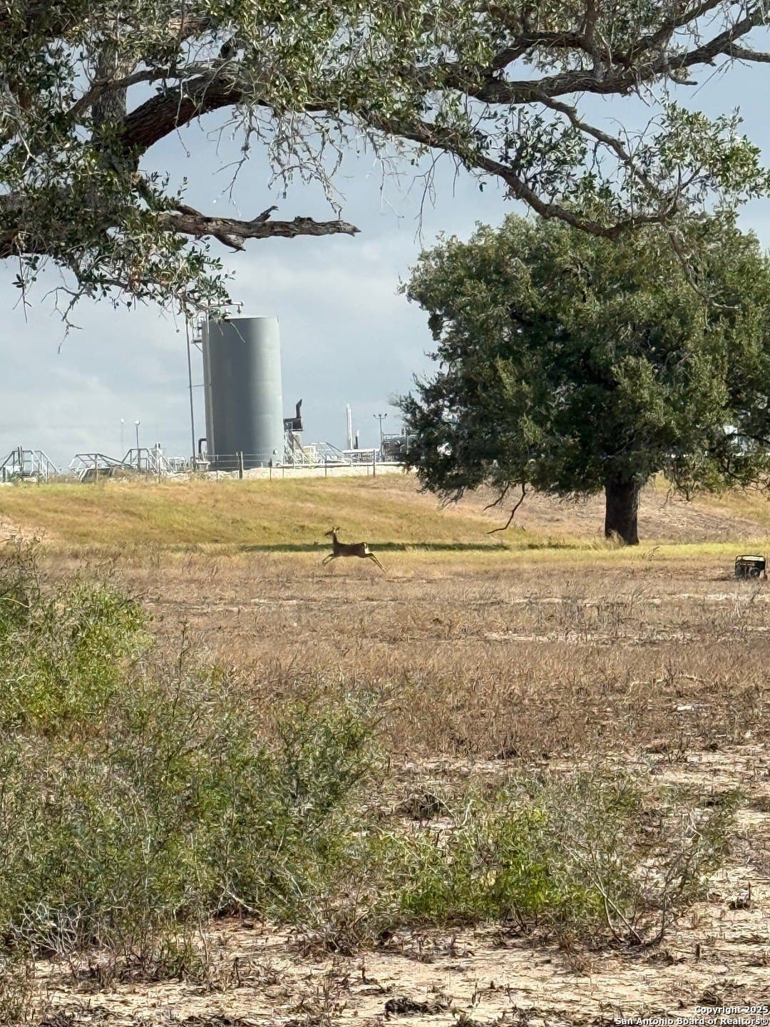 189 acres in Karnes County - photo 17