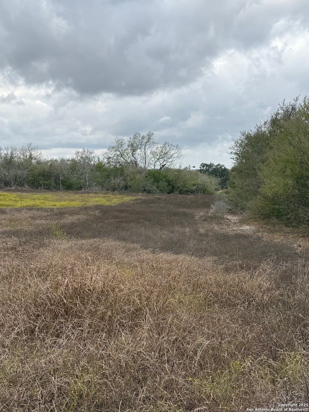 189 acres in Karnes County - photo 3