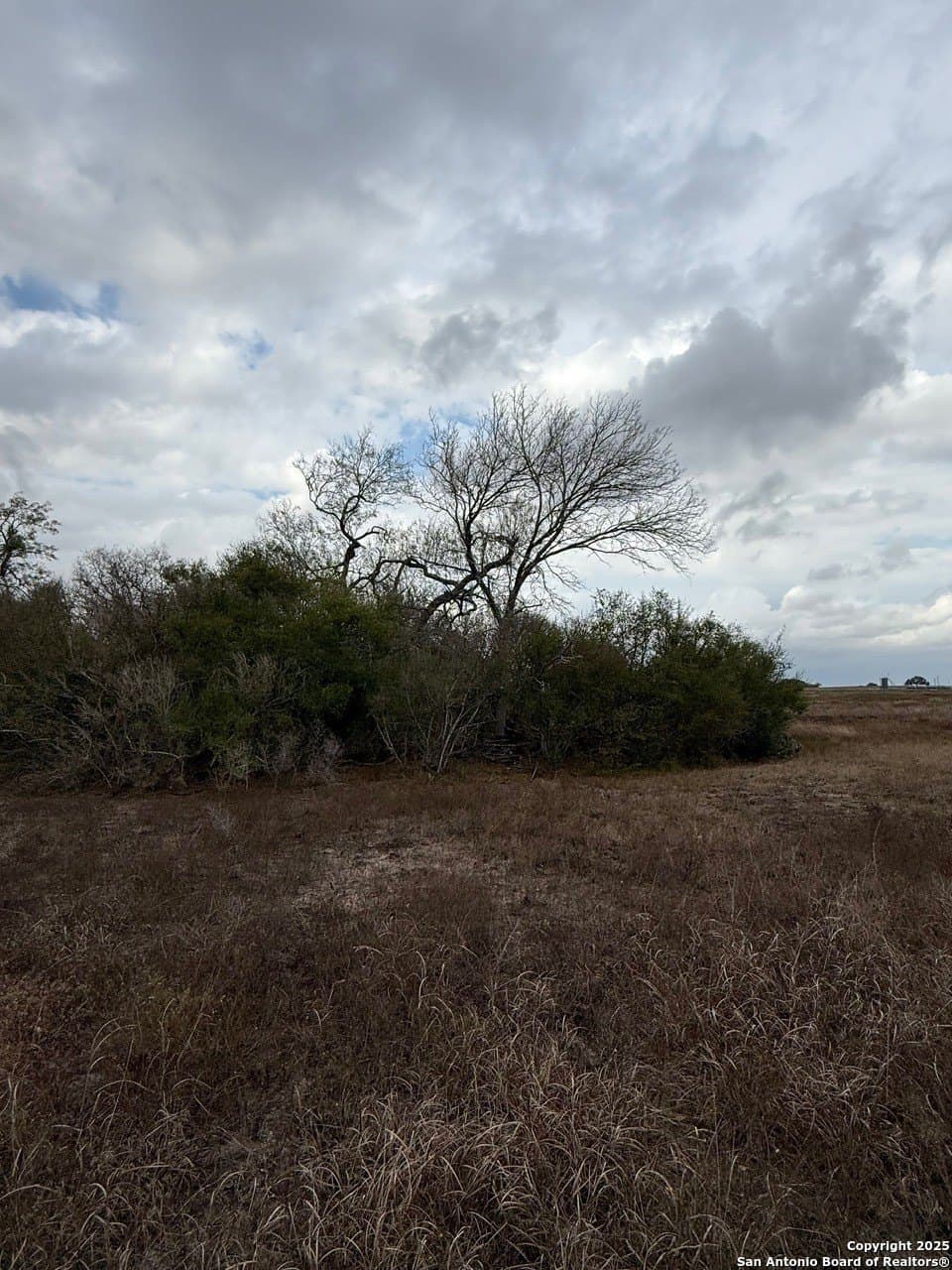 189 acres in Karnes County - photo 5
