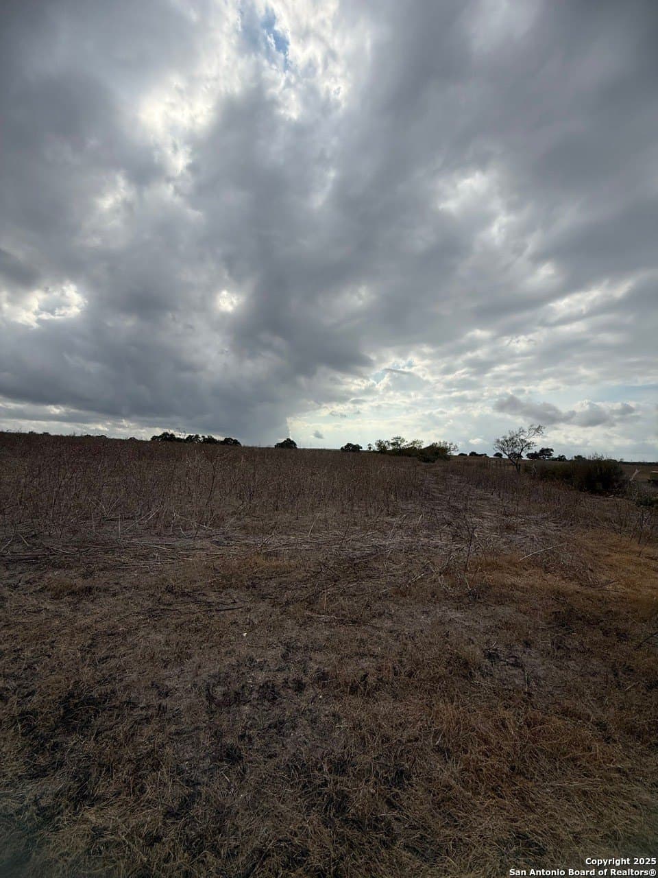 189 acres in Karnes County - photo 7