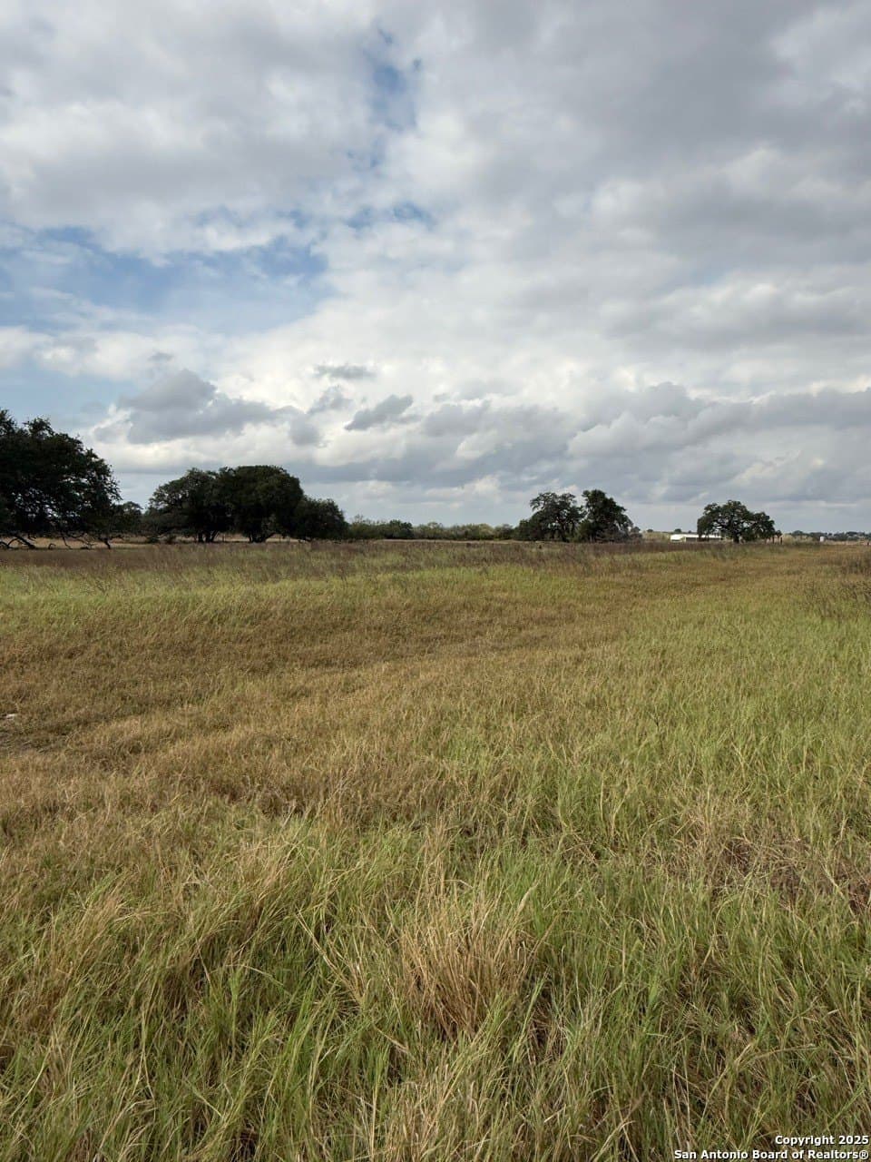 189 acres in Karnes County - photo 12