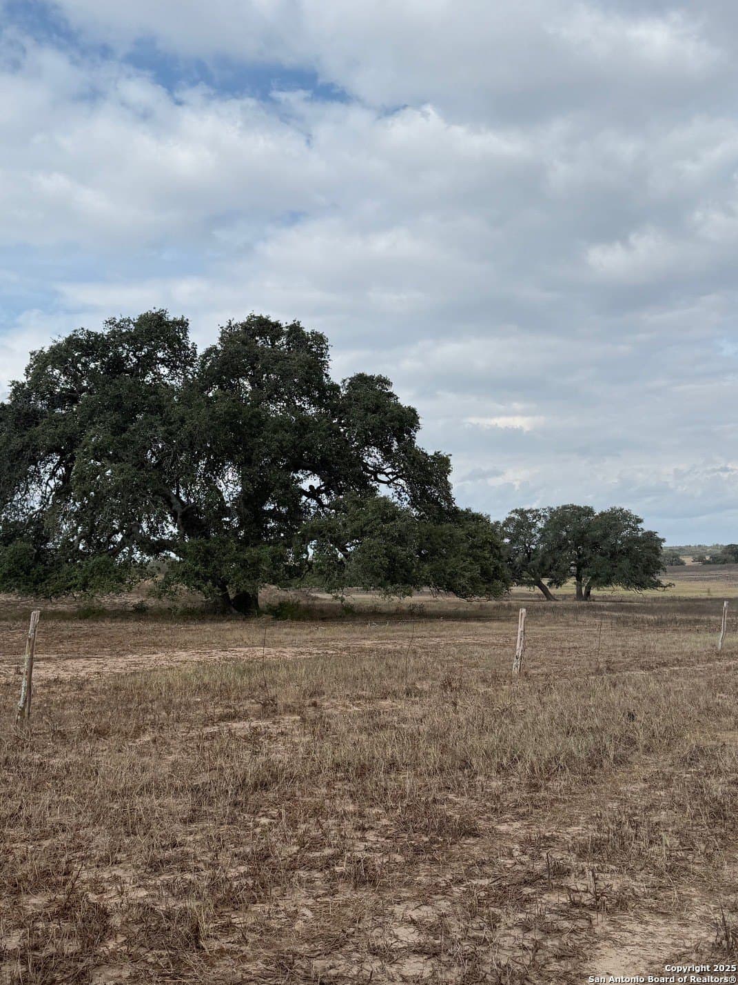 189 acres in Karnes County - photo 13