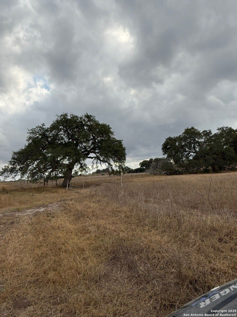 189 acres in Karnes County - photo 8