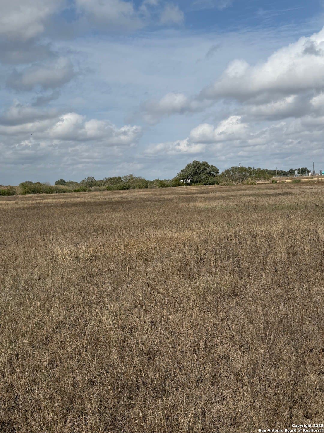 189 acres in Karnes County - photo 37
