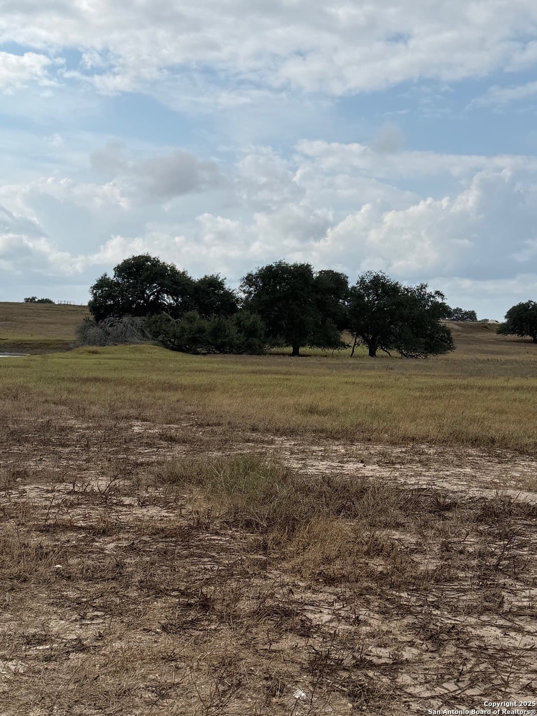 189 acres in Karnes County - photo 9