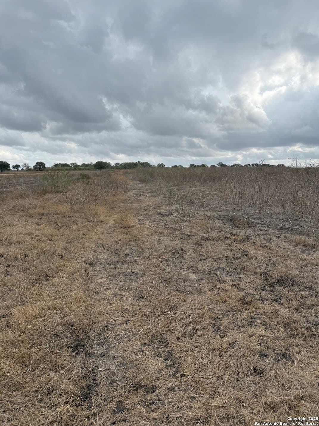 189 acres in Karnes County - photo 6