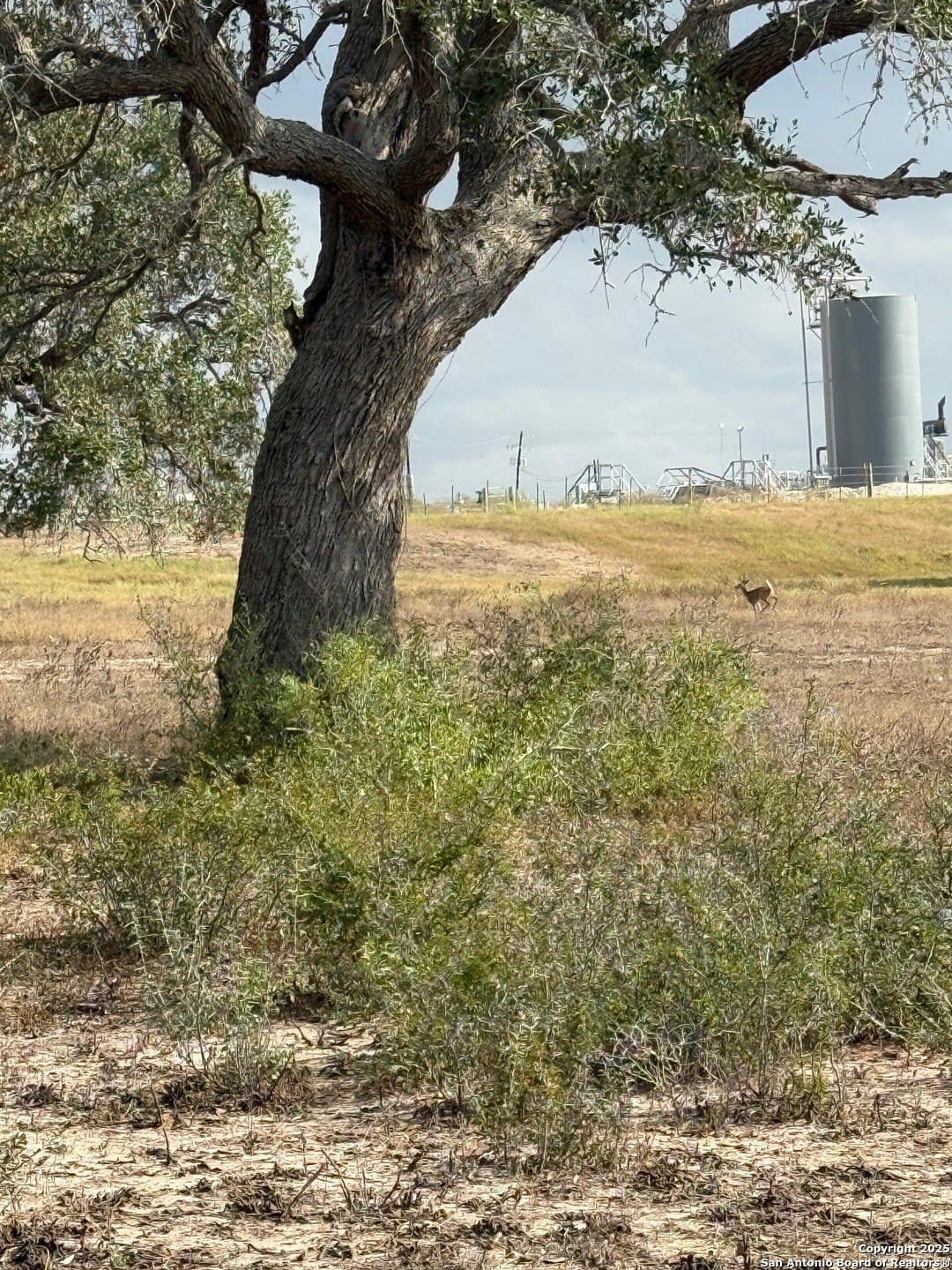 189 acres in Karnes County - photo 18