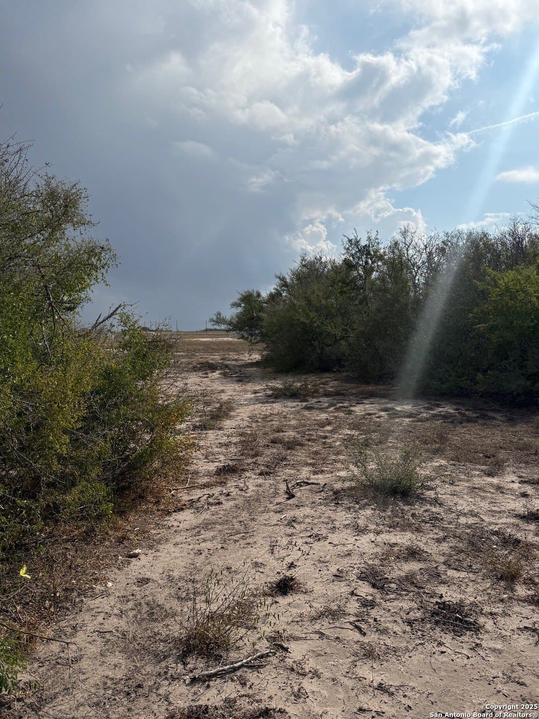 189 acres in Karnes County - photo 16