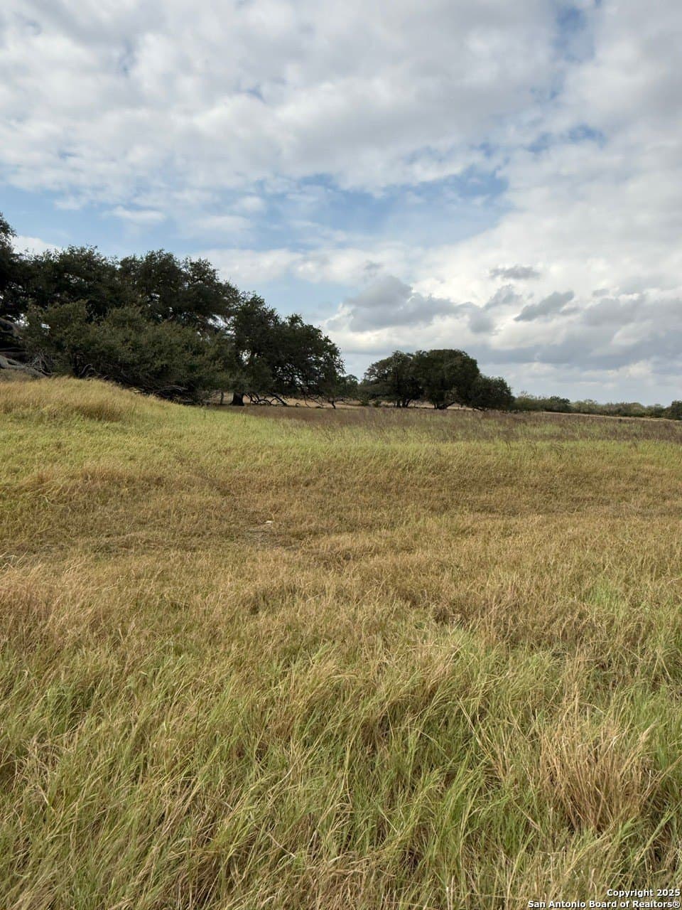 189 acres in Karnes County - photo 11