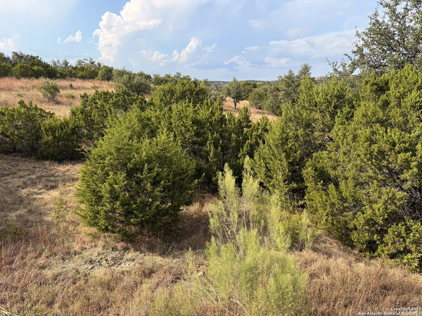 4.18 acres in Comal County - photo 11