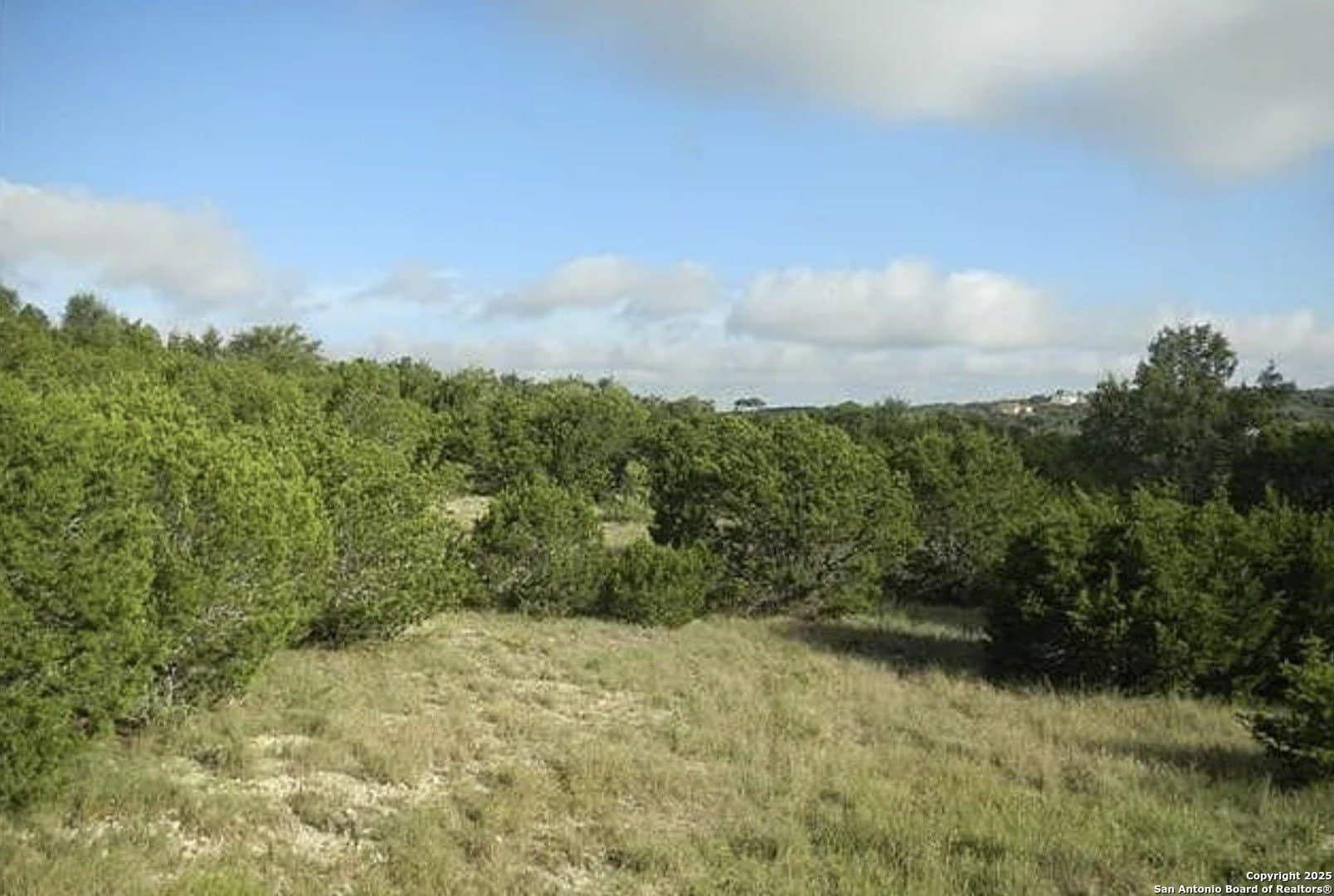 4.18 acres in Comal County - photo 19
