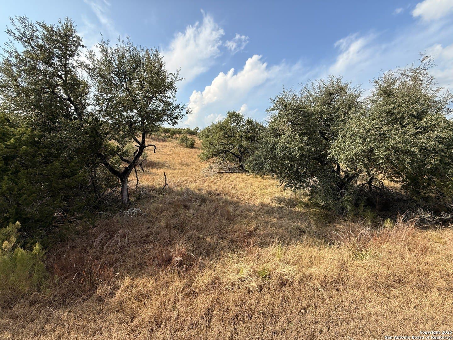 4.18 acres in Comal County - photo 10