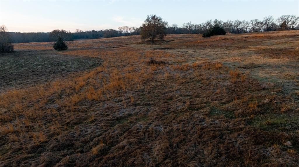 546.5 acres in Smith County - photo 12