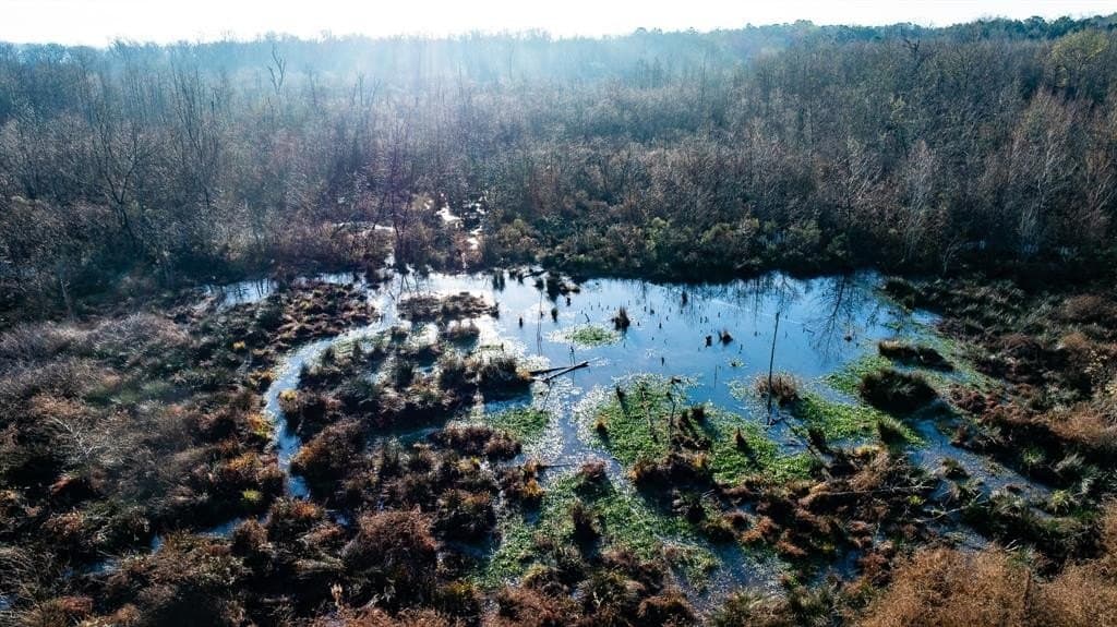 546.5 acres in Smith County - photo 25