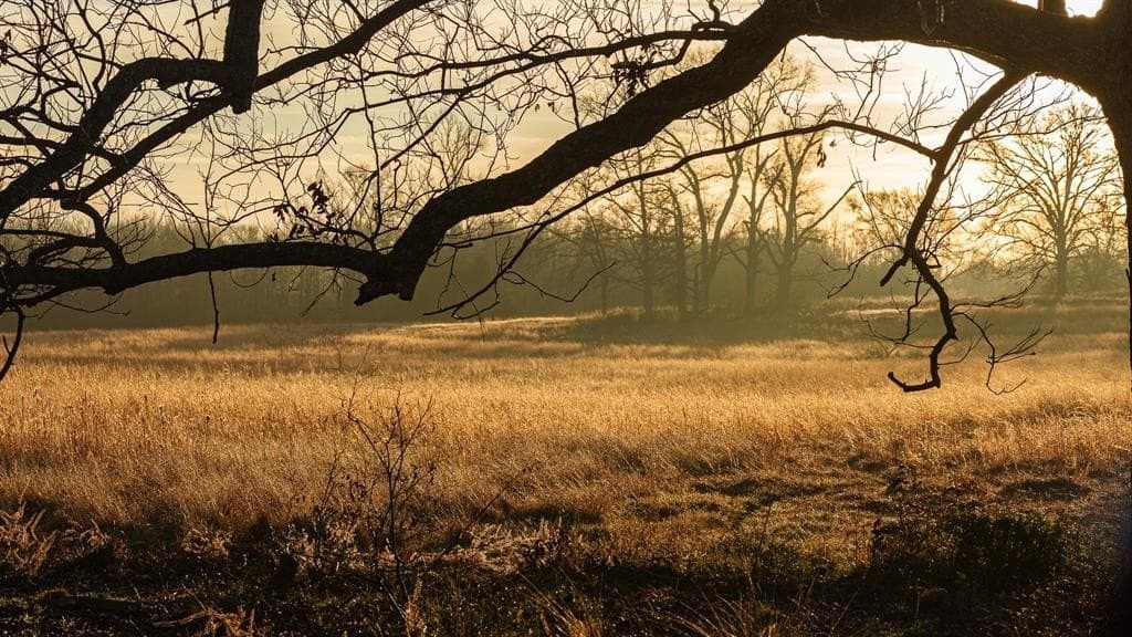 546.5 acres in Smith County - photo 17
