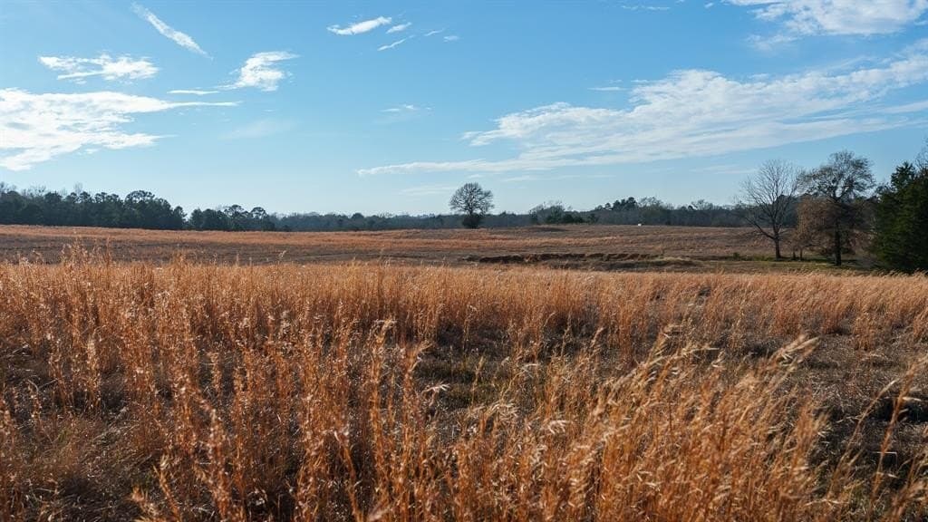546.5 acres in Smith County - photo 30