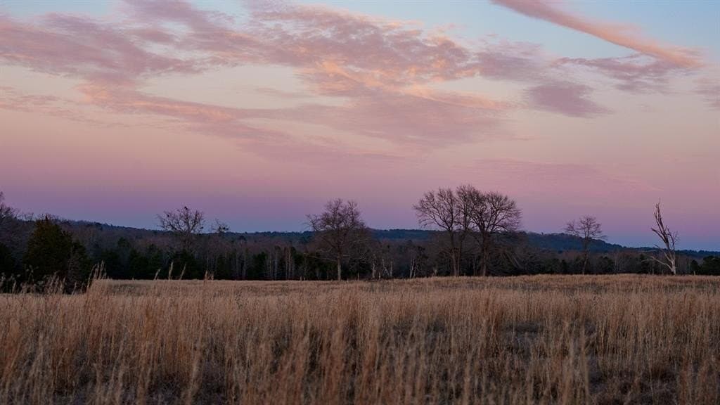 546.5 acres in Smith County - photo 3