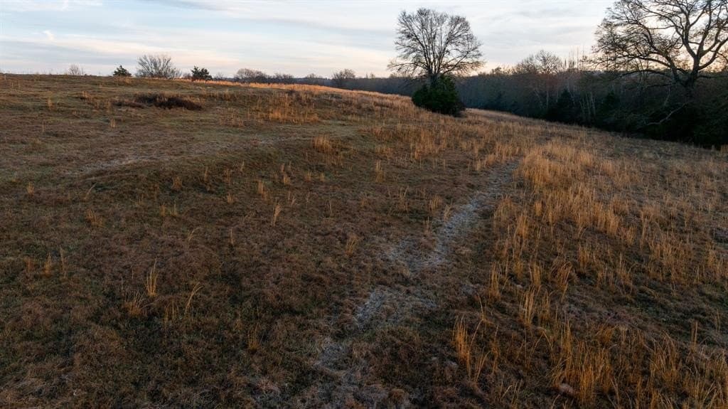 546.5 acres in Smith County - photo 14